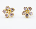 Aretes Primer Jardín