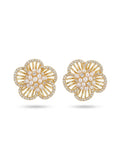 Aretes Senderos de Azahar